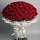 Букет 101 Красная роза Блэк Мэджик в Приволжске