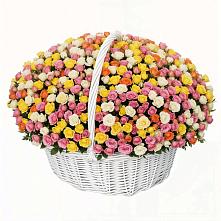 Премиум букет из: Розы #REPLACE_PRED# Приволжске