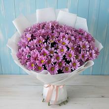 Букет цветов из:  Хризантемы в Приволжске