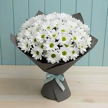 Букет цветов из:  Хризантемы #REPLACE_PRED# Приволжске