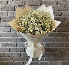 Букет цветов из:  Ромашки в Приволжске