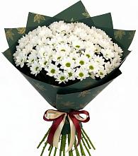 Букет цветов из:  Хризантемы в Приволжске