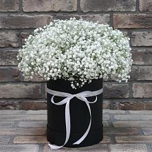 Цветочная композиция из Гипсофила в шляпной коробке #REPLACE_PRED# Приволжске