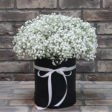 Цветочная композиция из Гипсофила в шляпной коробке в Приволжске